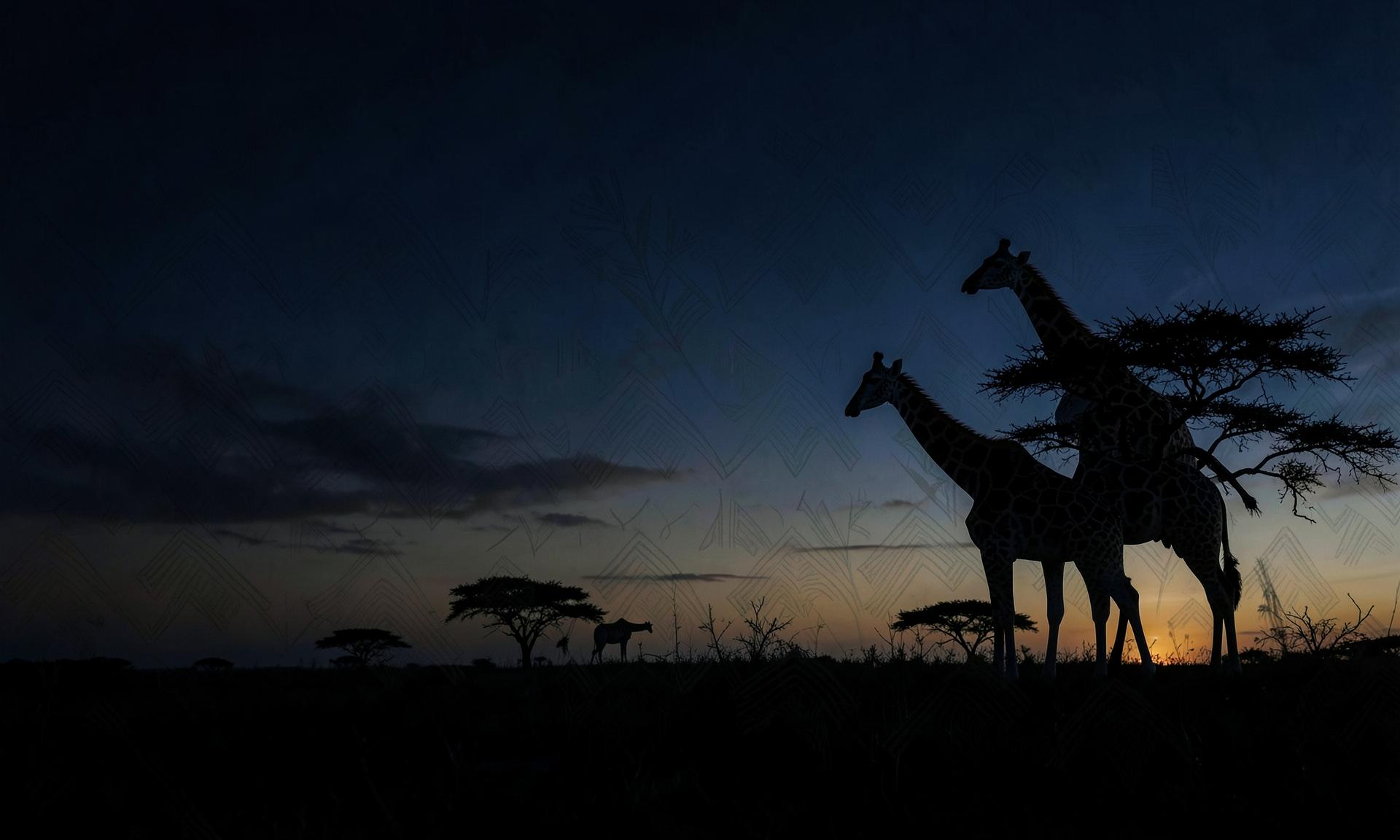 Girafes en silhouette dans la savane au crépuscule, motifs textiles en filigrane